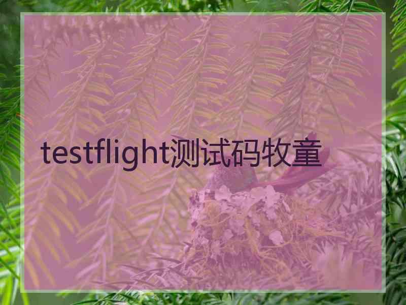 testflight测试码牧童