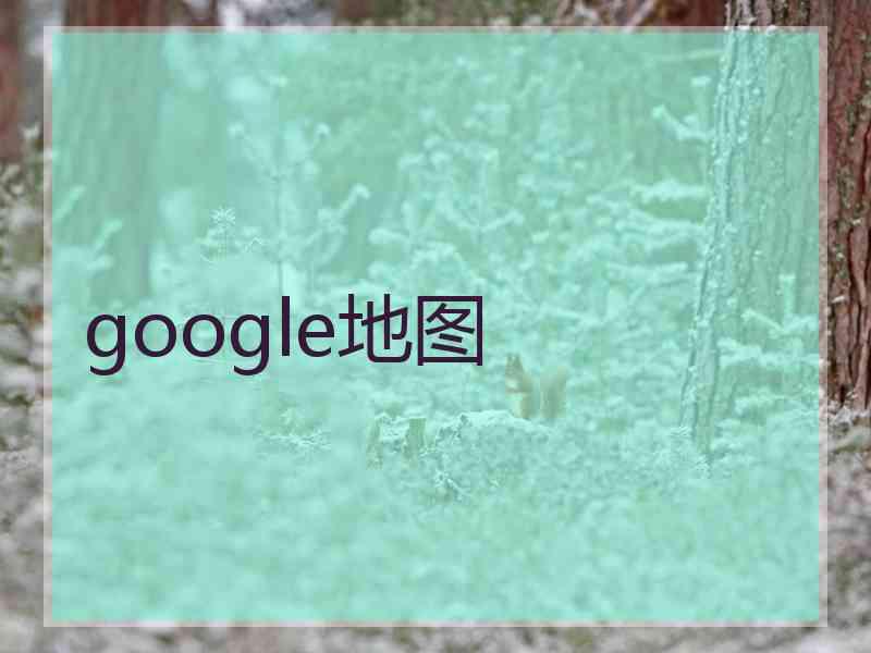 google地图