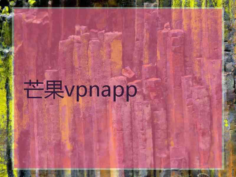 芒果vpnapp