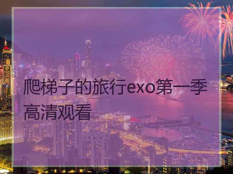 爬梯子的旅行exo第一季高清观看