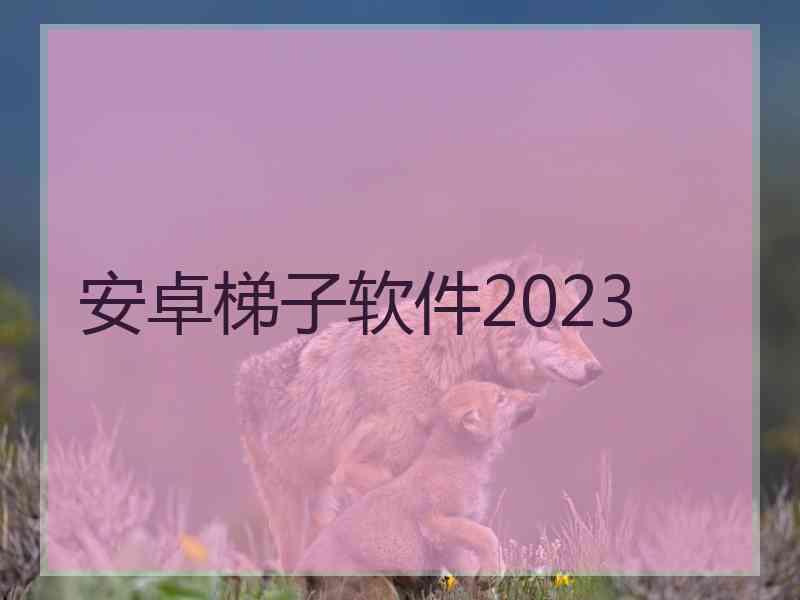 安卓梯子软件2023