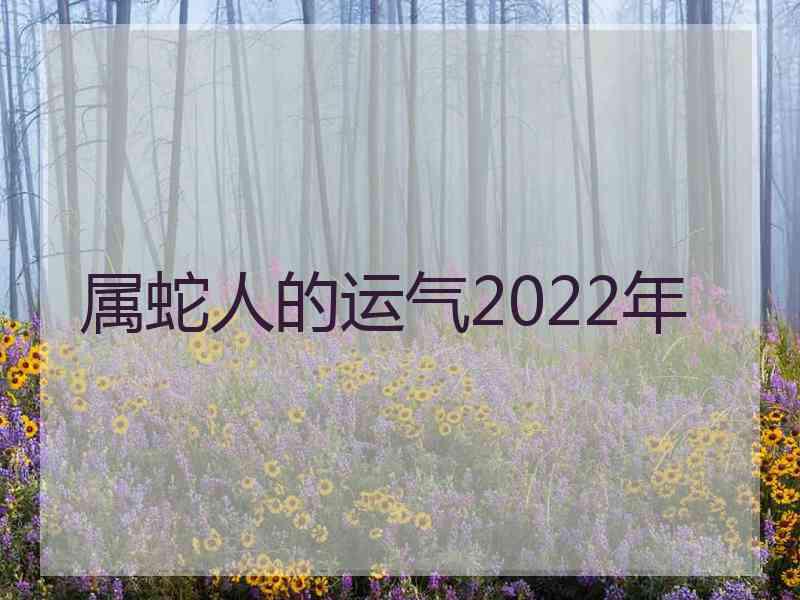 属蛇人的运气2022年