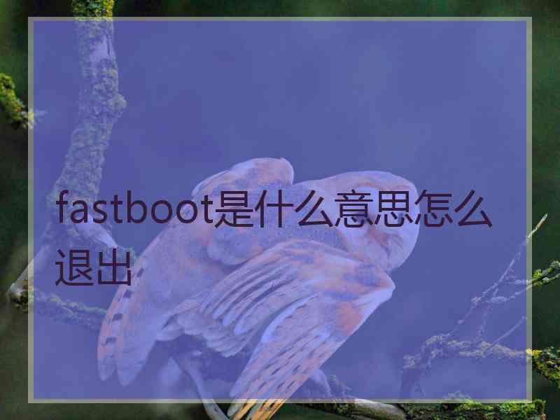 fastboot是什么意思怎么退出