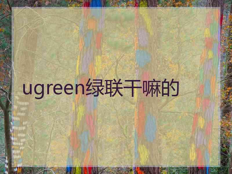 ugreen绿联干嘛的