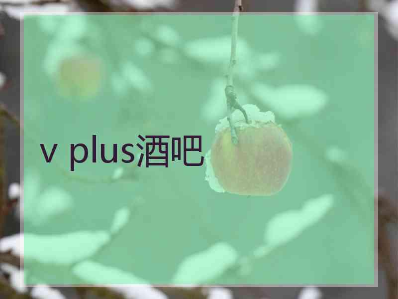 v plus酒吧