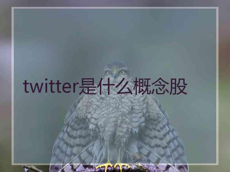 twitter是什么概念股