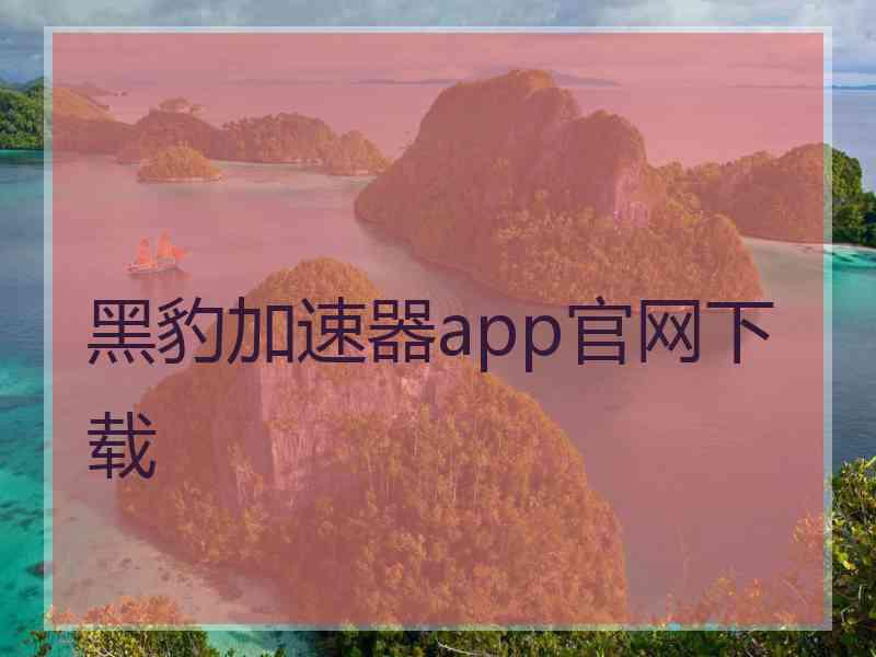 黑豹加速器app官网下载