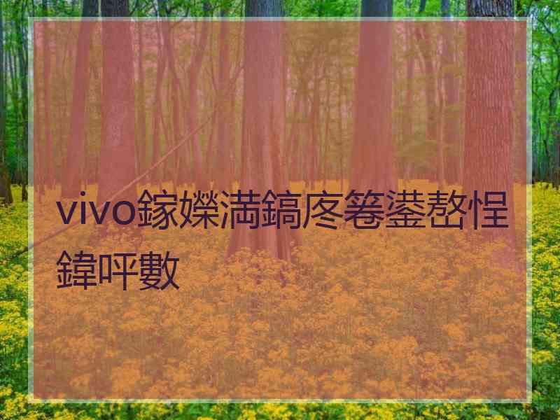 vivo鎵嬫満鎬庝箞鍙嶅悜鍏呯數