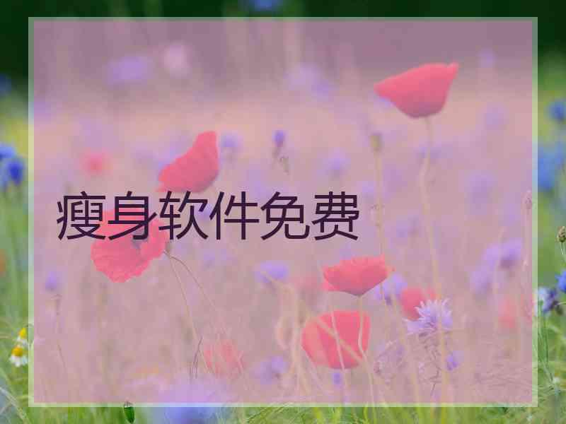 瘦身软件免费