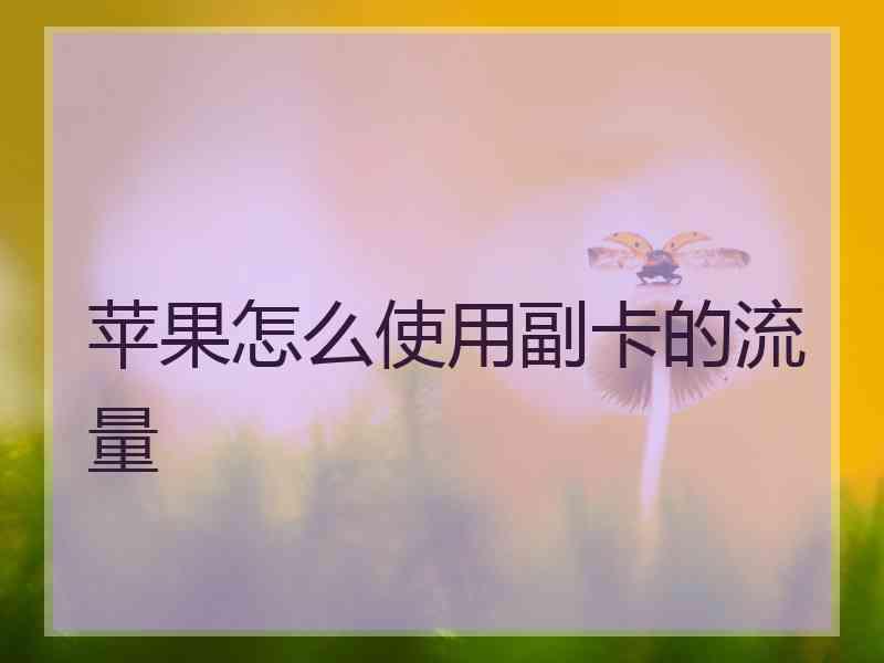 苹果怎么使用副卡的流量