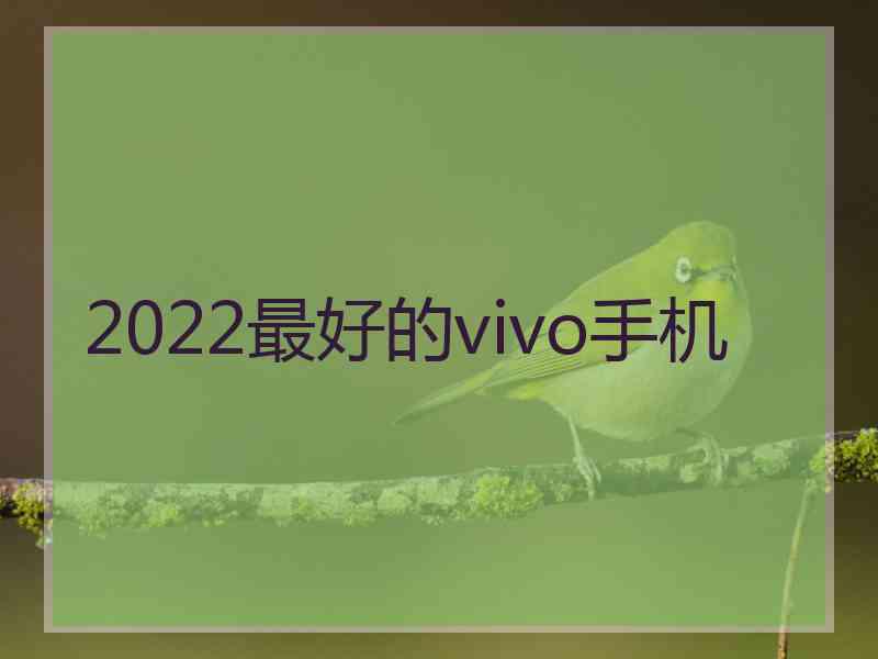 2022最好的vivo手机