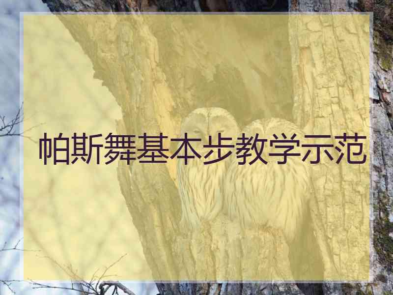 帕斯舞基本步教学示范