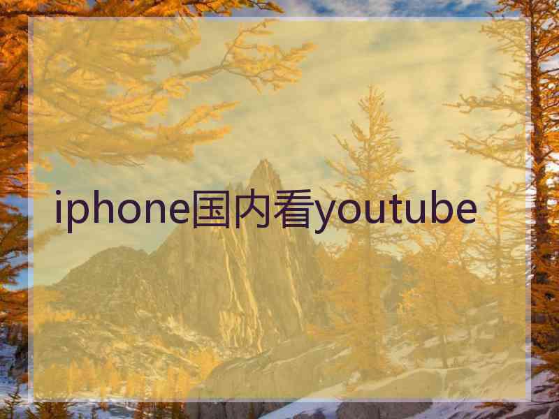 iphone国内看youtube