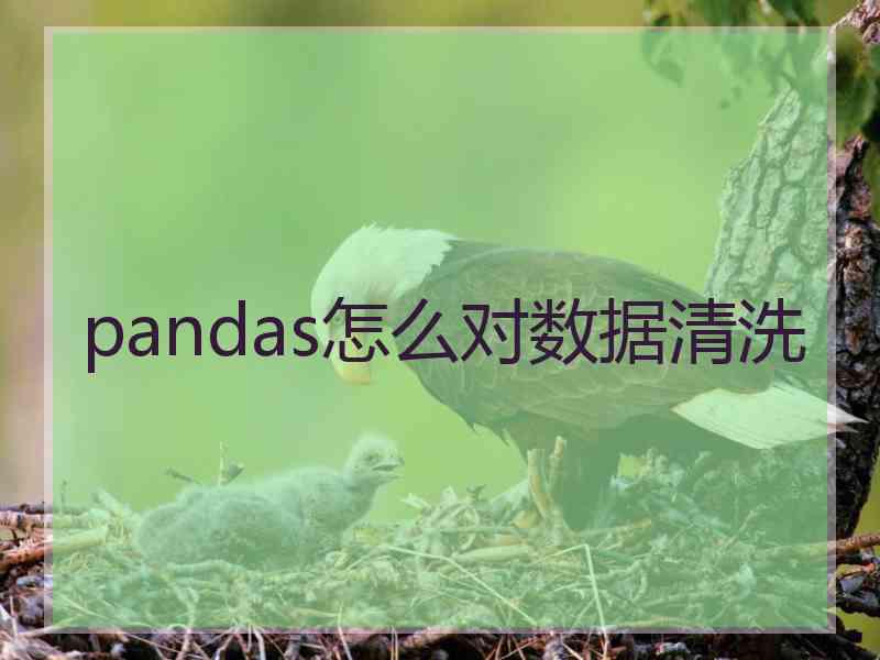 pandas怎么对数据清洗