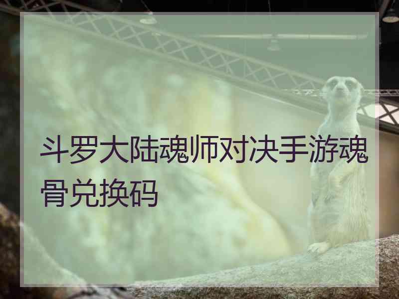 斗罗大陆魂师对决手游魂骨兑换码