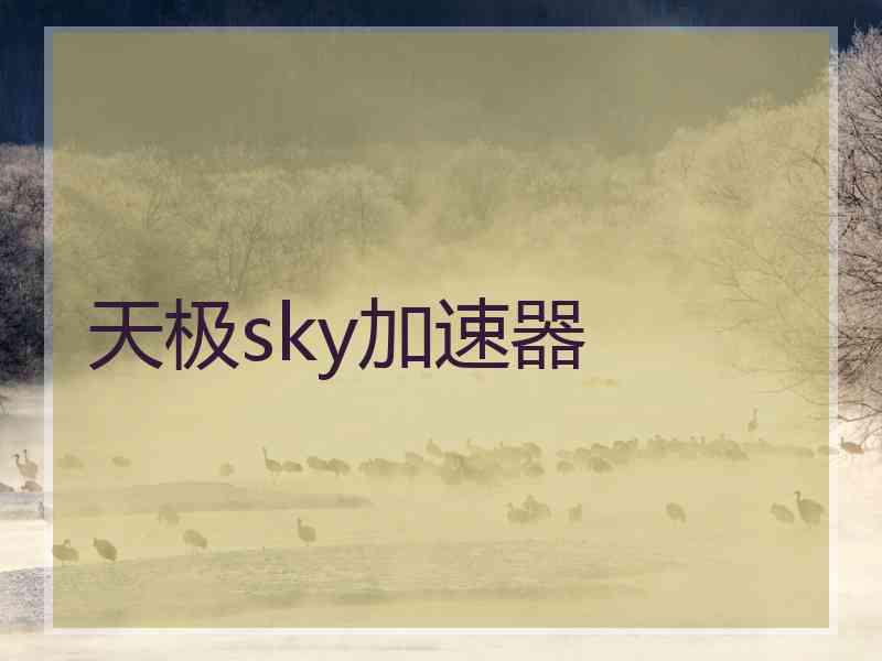 天极sky加速器