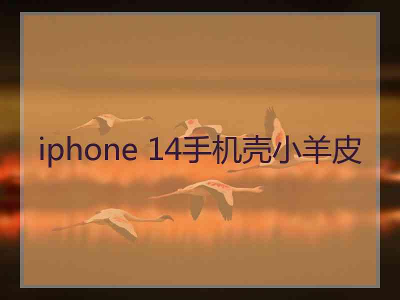 iphone 14手机壳小羊皮