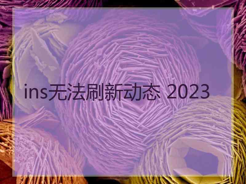 ins无法刷新动态 2023