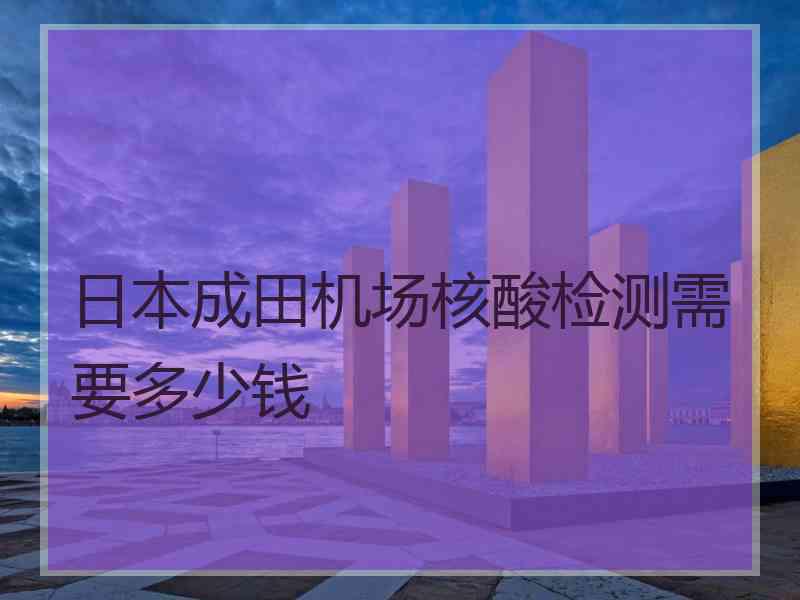 日本成田机场核酸检测需要多少钱