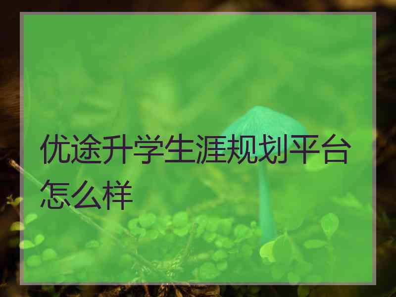 优途升学生涯规划平台怎么样