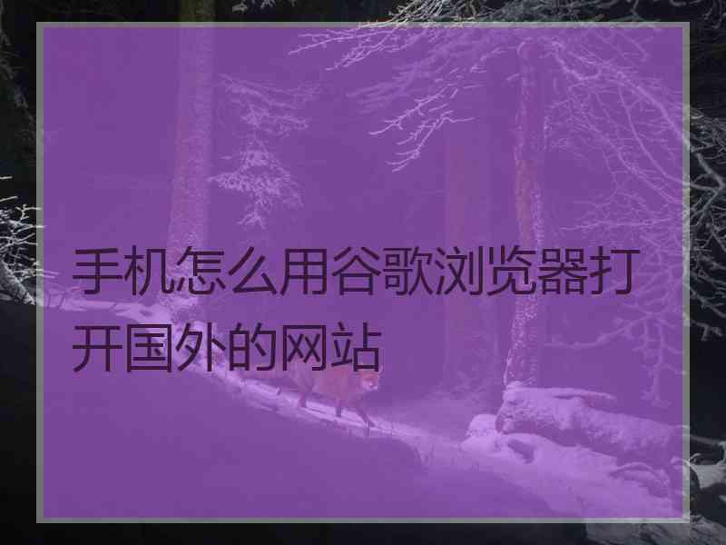 手机怎么用谷歌浏览器打开国外的网站