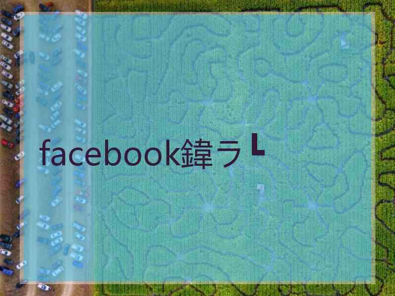 facebook鍏ラ┗