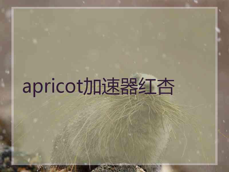 apricot加速器红杏