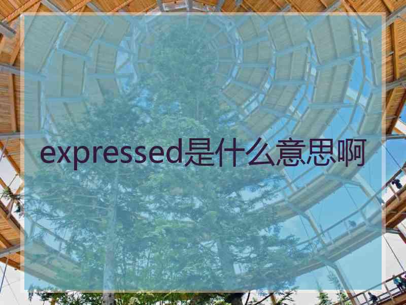 expressed是什么意思啊