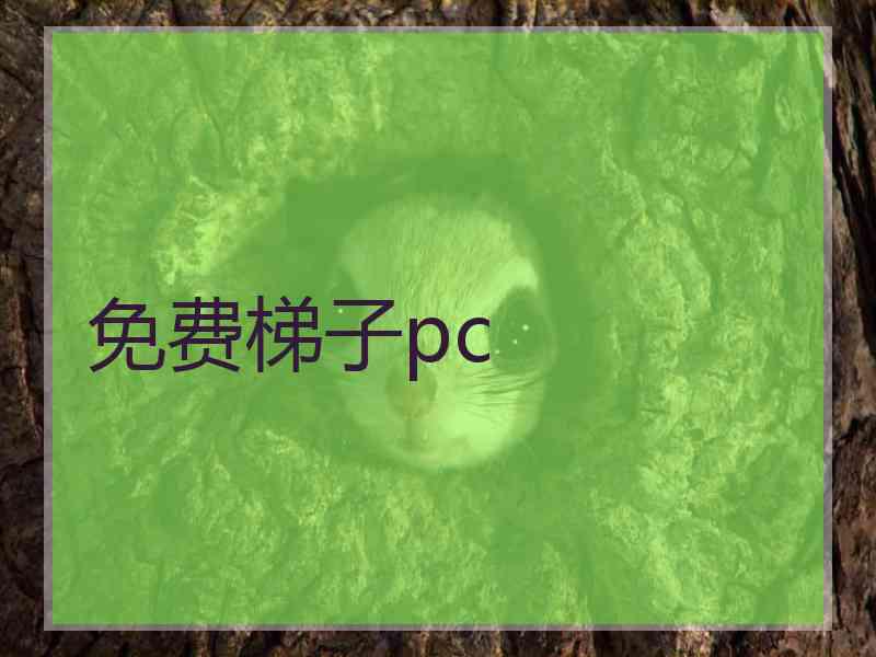 免费梯子pc