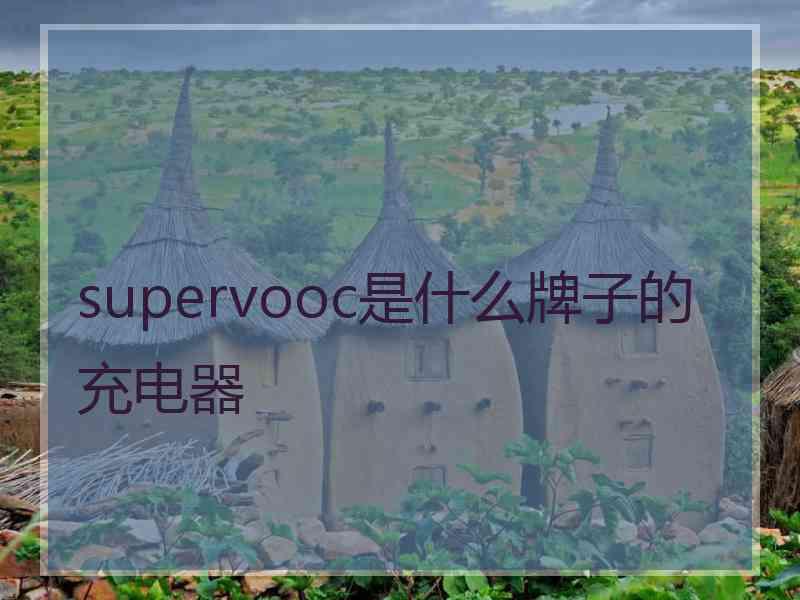 supervooc是什么牌子的充电器