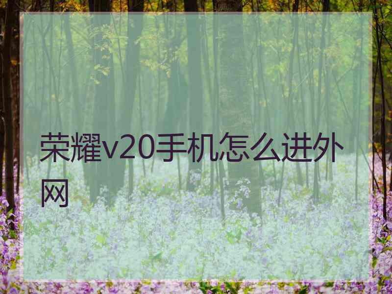 荣耀v20手机怎么进外网