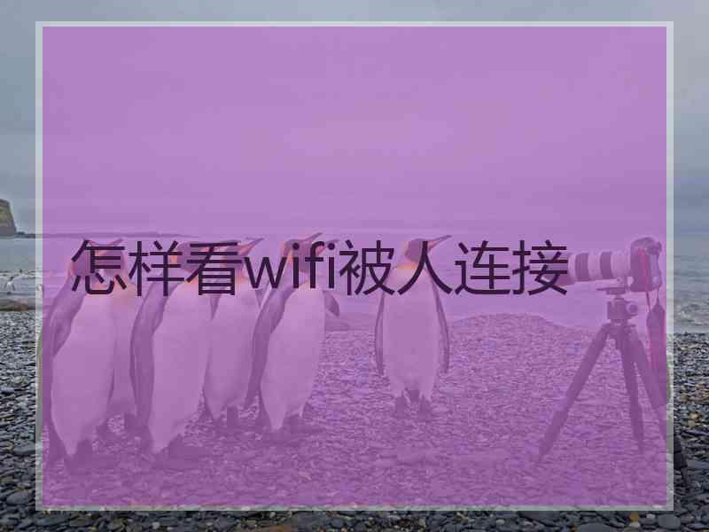 怎样看wifi被人连接