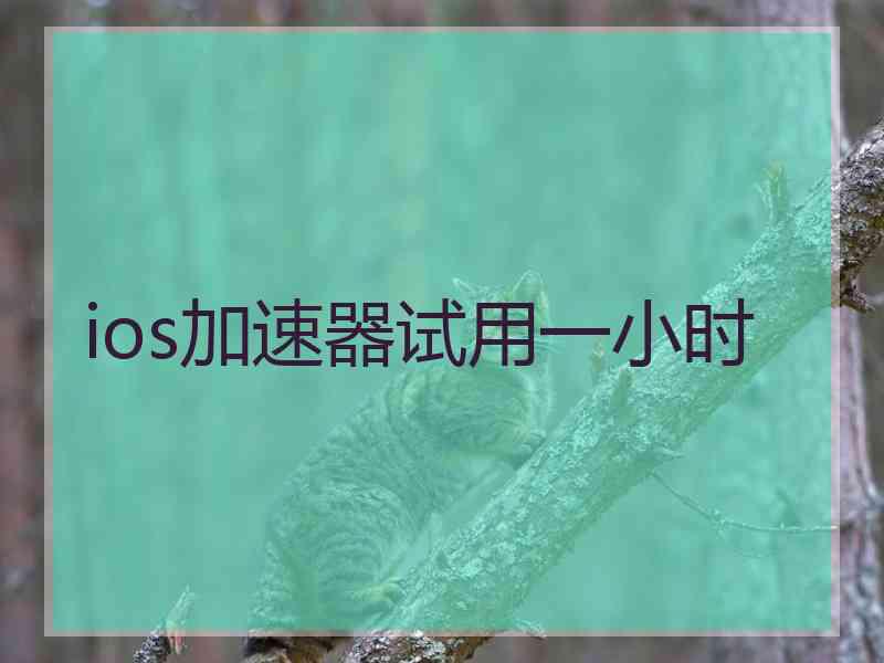 ios加速器试用一小时