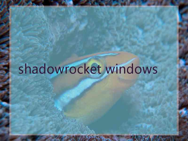 shadowrocket windows