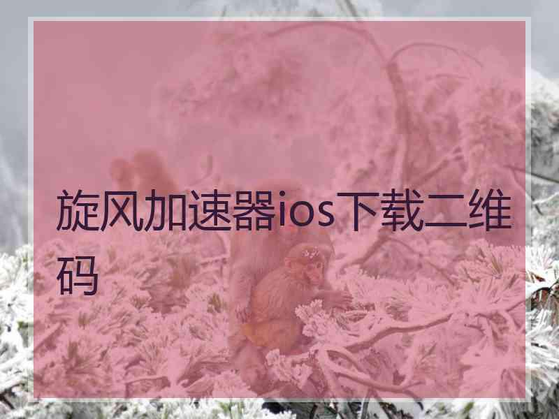 旋风加速器ios下载二维码