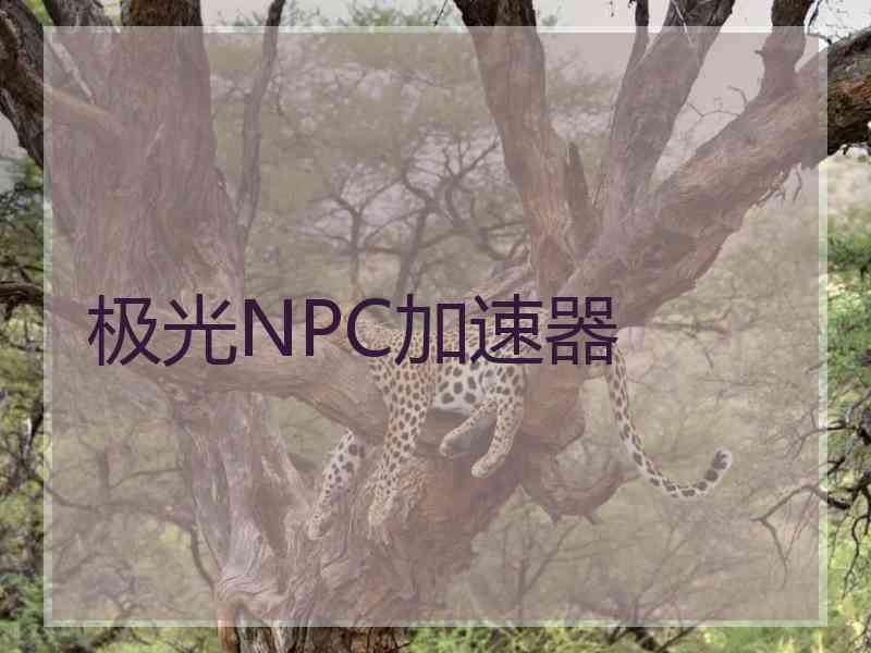 极光NPC加速器