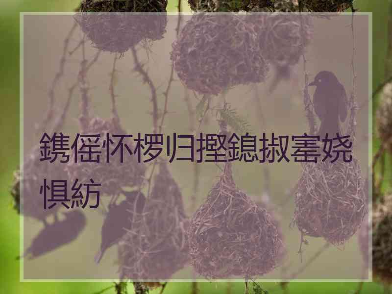 鎸傜怀椤归摼鎴掓寚娆惧紡