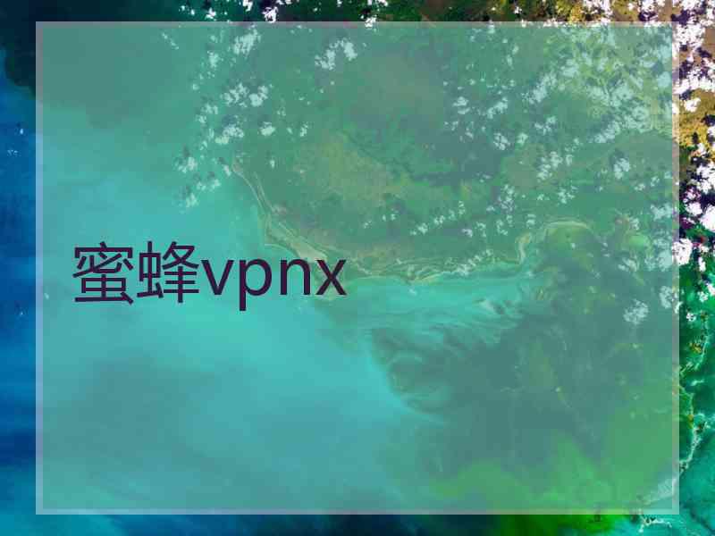 蜜蜂vpnx