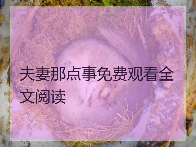 夫妻那点事免费观看全文阅读