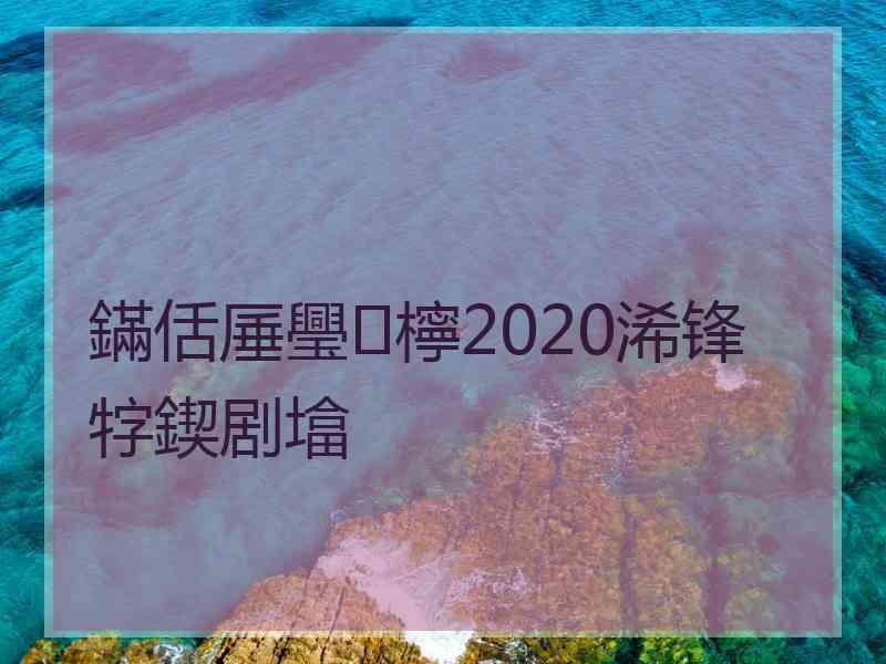 鏋佸厜璺檸2020浠锋牸鍥剧墖