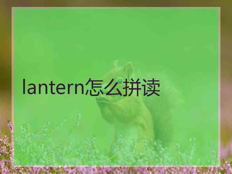 lantern怎么拼读