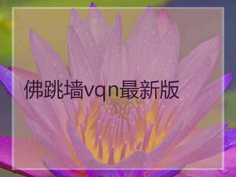 佛跳墙vqn最新版