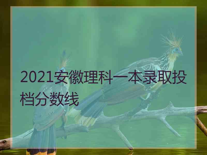 2021安徽理科一本录取投档分数线