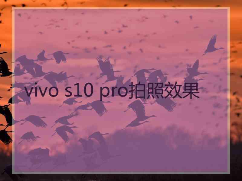 vivo s10 pro拍照效果