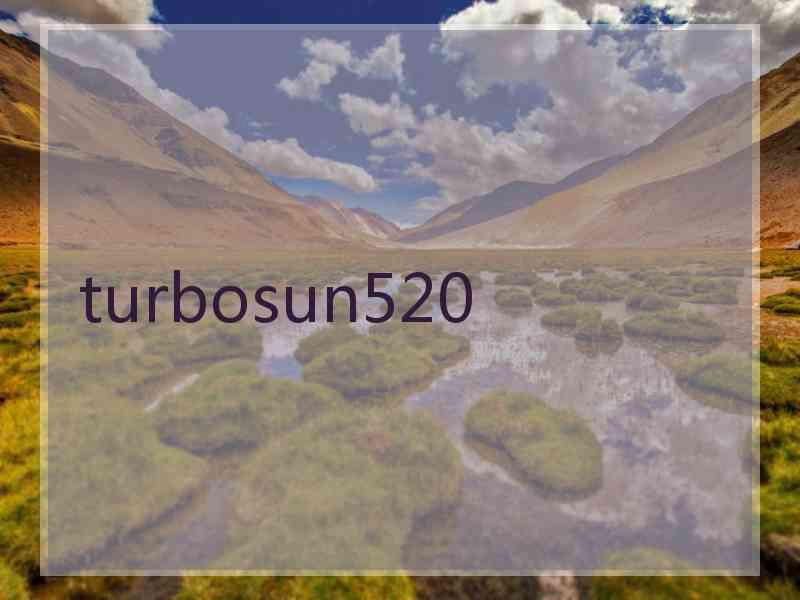 turbosun520