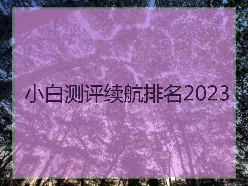 小白测评续航排名2023