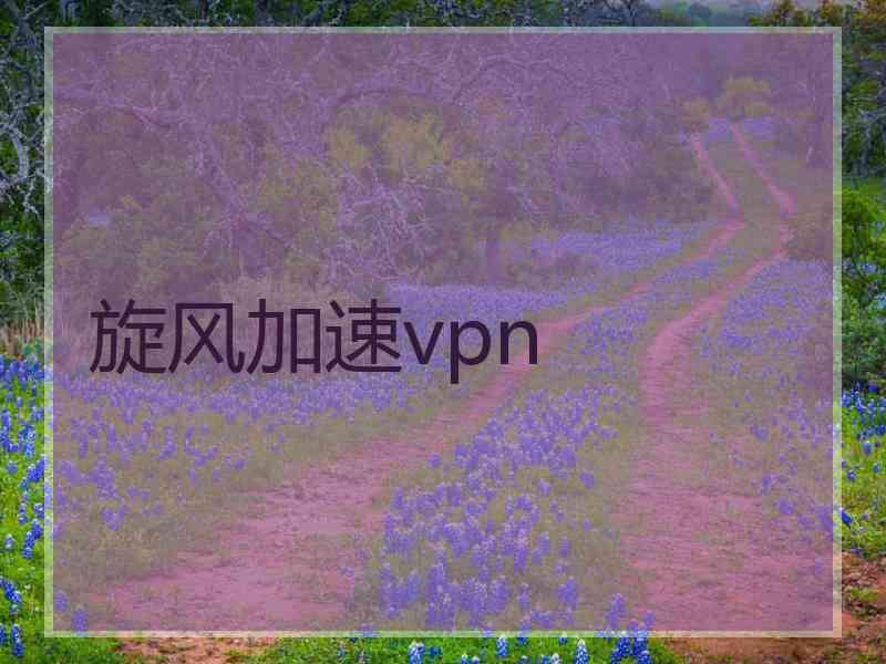 旋风加速vpn