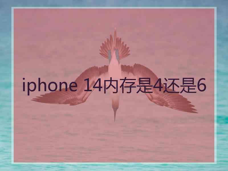 iphone 14内存是4还是6