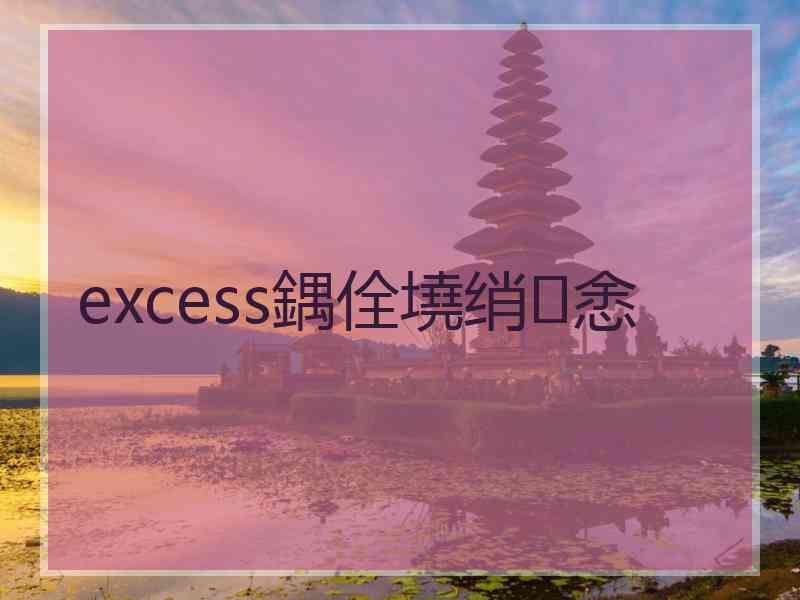 excess鍝佺墝绡悆