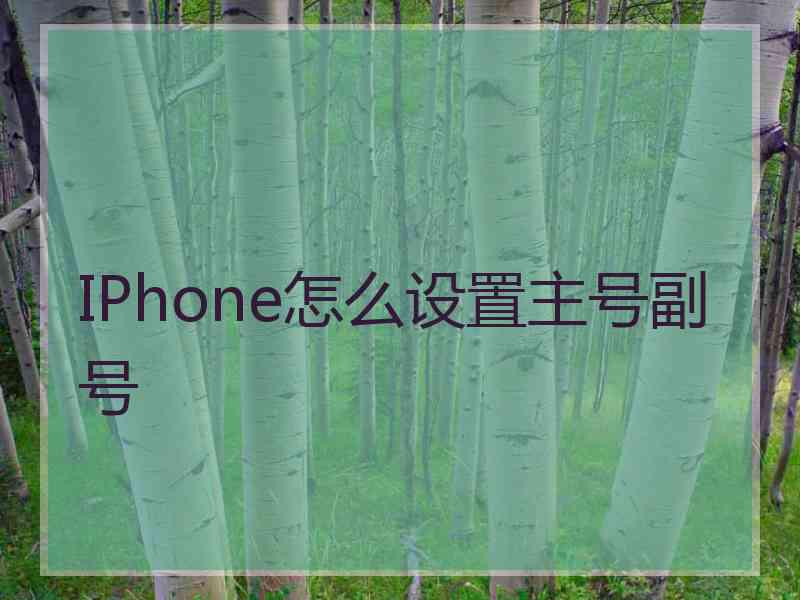 IPhone怎么设置主号副号